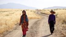 Movies from Iran to compete in Brazil It’s All True festival