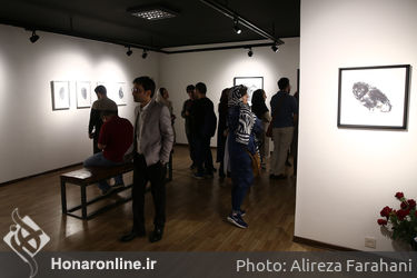 نمایشگاه آثار کامبیز درم بخش و سهیل حسینی در گالری آ