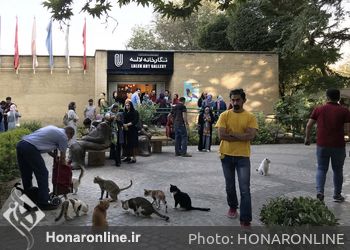نمایشگاه گروهی تصویرسازی "گل و مرغ و کلاغ" در گالری لاله