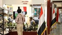 یمن حضور اثرگذاری در نمایشگاه کتاب تهران خواهد داشت / نویسندگان یمن تولیدات خود در زمان جنگ را کاهش نداند