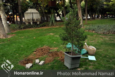 کاشت نهال به یاد استاد زنده‌یاد " سعدی افشار" هنرمند پیشکسوت نمایش‌های سنتی در محوطه پارک شهر