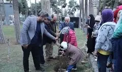 کاشت درخت زیتون به عنوان نماد صلح و دوستی در فرهنگسرای نیاوران 