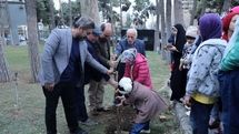کاشت درخت زیتون به عنوان نماد صلح و دوستی در فرهنگسرای نیاوران 