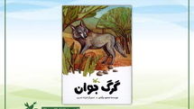 «گرگ جوان»، داستانی از محمود بَرآبادی منتشر شد