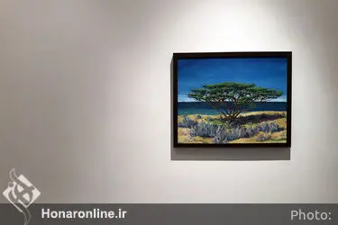 نمایشگاه آثار اشکان ماهروئی در گالری ویستا