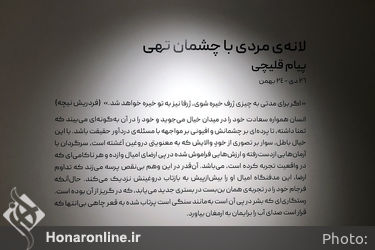 نمایشگاه آثار پیام قلیچی در گالری باوان