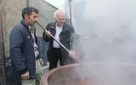 استقبال غار موزه وزیری از نوروز