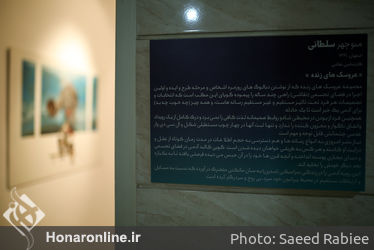 نمایشگاه نقاشی منوچهر سلطانی در گالری ویستا پلاس