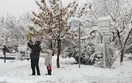 Early morning heavy snow beatifies Tehran