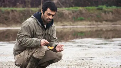 Films from Iran to go on screen at intl. festivals 