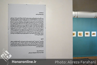 نمایشگاه یک روزه نقاشی، عکس و ویدئو در گالری دنا