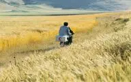 Where Is Friend Kiarostami?: Pompidou Center, MK2 Films to review oeuvre of Kiarostami