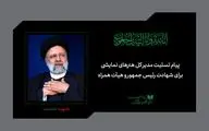 خادم الرضا در ایامی که آغشته‌ به بوی امام رضا(ع) بود؛ سر بر آستان حق نهاد