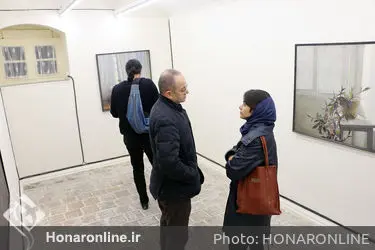 نمایشگاه نقاشی فتانه فروغی در گالری این جا