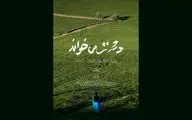 «دشت می‌خواند» موفق به کسب دو جایزه از جشنواره فیلم کردی برلین شد