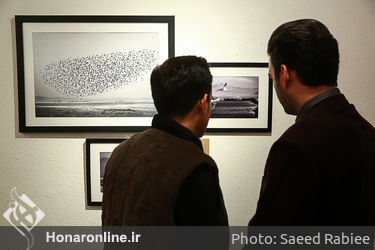 نمایشگاه عکس عکاسان رسانه پایگاه عکس چیلیک