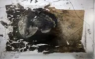 سمیه فعال از نمایشگاه «محل استقرار» در گالری سیحون می‌گوید | در مسیر رشد و تعالی