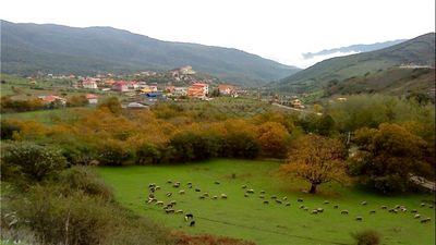 Heyran: One of most famous tourist sites in Astara
