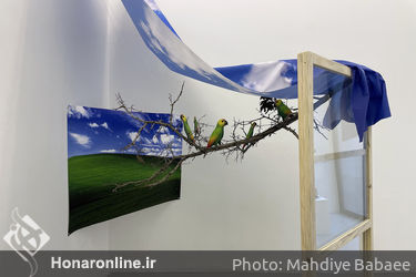 نمایشگاه گروهی " پرنده ها " در گالری سو