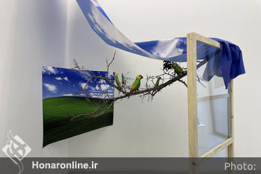 نمایشگاه گروهی " پرنده ها " در گالری سو