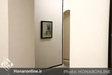 نمایشگاه نقاشی فتانه فروغی در گالری این جا