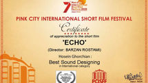 Iranian sound designer shines at Pink City Intl. Filmfest