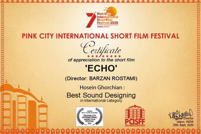 Iranian sound designer shines at Pink City Intl. Filmfest