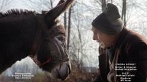 “Cinema Donkey” crowned best at Spanish comedy film festival
