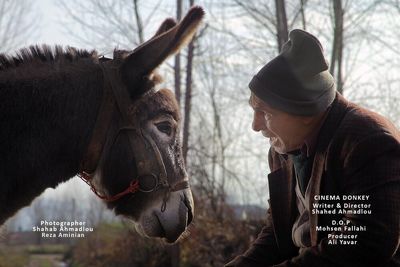 “Cinema Donkey” crowned best at Spanish comedy film festival 