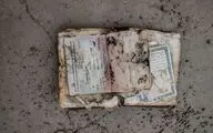 اکران آنلاین «بیجا» در شبکه نمایش خانگی
