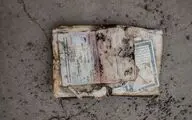 اکران آنلاین «بیجا» در شبکه نمایش خانگی
