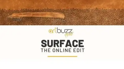 Works by Iranian photographers on view at "Surface artbuzz" exhibit 