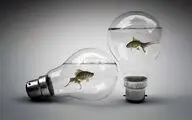 هر چه می‌گذرد بی‌سوادتر می‌شویم؟