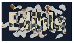 راهبردهای معماری برای تولید محلی در دوسالانه معماری تالین