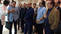 طالبی: 