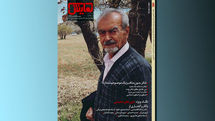 شماره‌‌ ۲۴۸ 