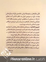 نمایشگاه طراحی شیرین اتحادیه در گالری ویستا