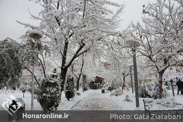 صبح برفی تهران 