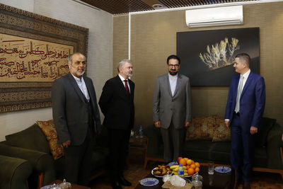 بهترین سفرای ایران آثار هنری هستند / دیدار معاون وزیر فرهنگ اسلواکی و معاون هنری وزارت ارشاد
