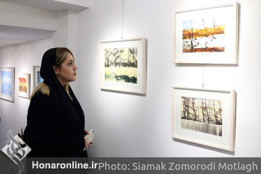 نمایشگاه نقاشی‌های "مریم حیدرزاده" در گالری مژده