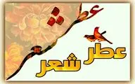 باران که بگیرد همه جا حرف من و توست