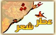 باران که بگیرد همه جا حرف من و توست
