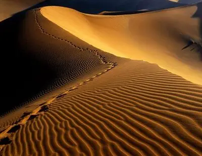 Deserts of Iran displays in Tokyo