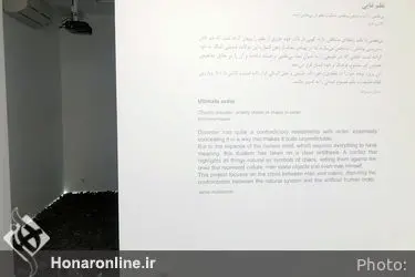 نمایشگاه نقاشی شیوا کاکاوندی در گالری اعتماد