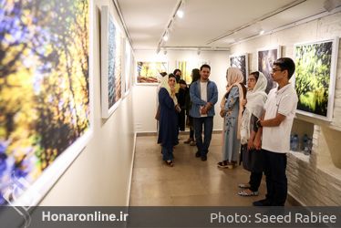 نمایشگاه عکس محمد صادق نیک‌نهاد در گالری گلستان