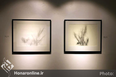 نمایشگاه انفرادی طراحی، نقاشی حمیدرضا اندرز در گالری شیرین