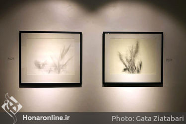 نمایشگاه انفرادی طراحی، نقاشی حمیدرضا اندرز در گالری شیرین