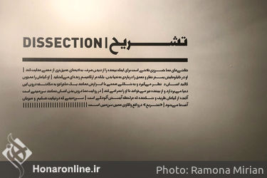 نمایشگاه نقاشی هما خسروی در گالری طراحان آزاد