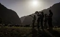 مستند