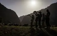 مستند